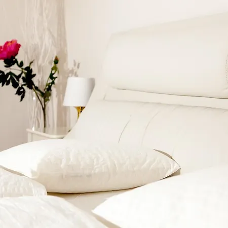 Luxury Old Town Style Studio *